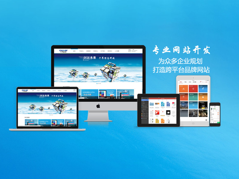 网站程序开发：推动企业转型升级的新引擎